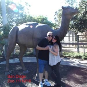 Meet your Posher, Neil